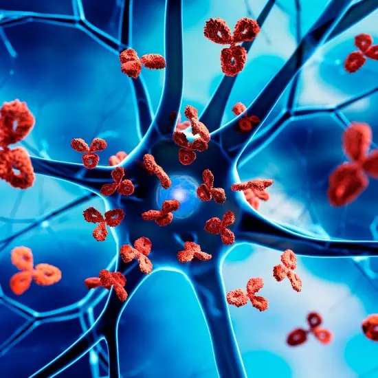 ana test is done to diagnose autoimmune disease